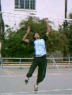 kokoo
