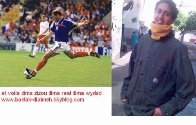 zimid
